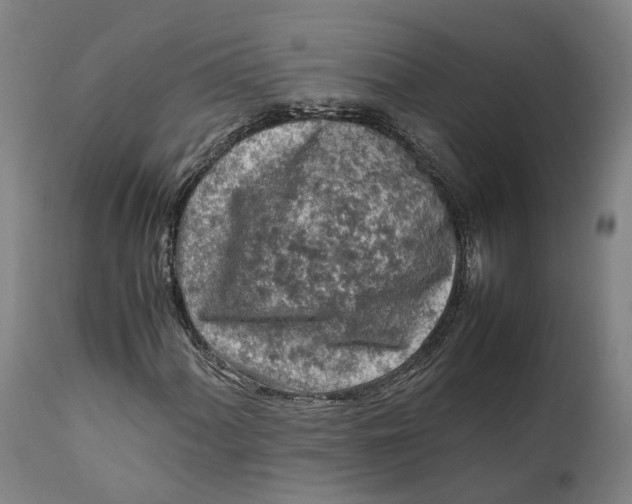 X0000111601060200908061409
