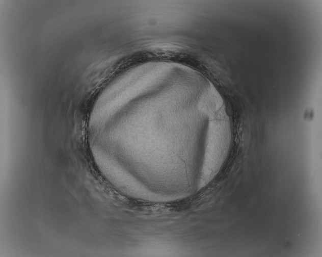 X0000111601061200908061409