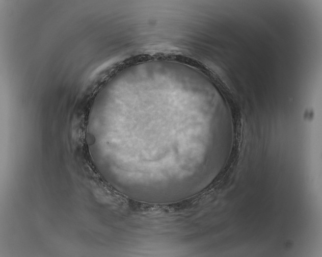 X0000111601063200908061409