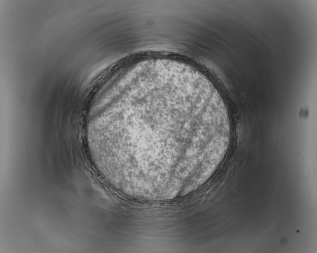 X0000111601064200908061409
