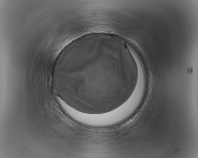 X0000111601065200908061409