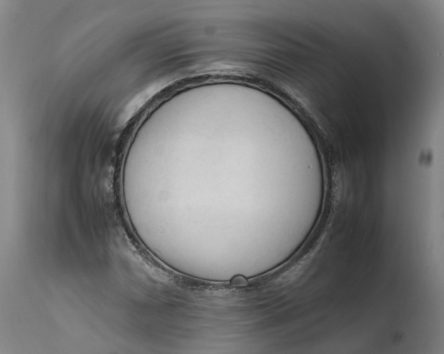 X0000111601066200908061409