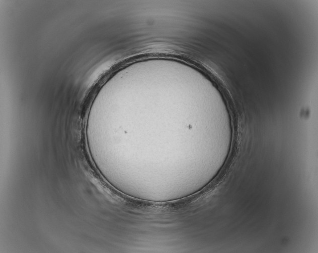 X0000111601067200908061409