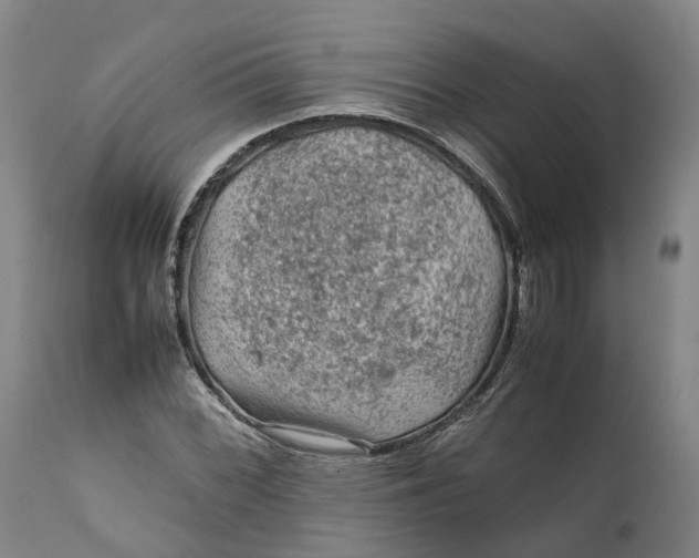 X0000111601068200908061408