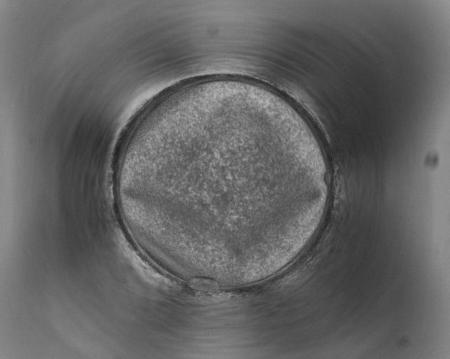 X0000111601072200908061408