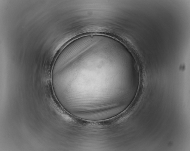 X0000111601073200908061408