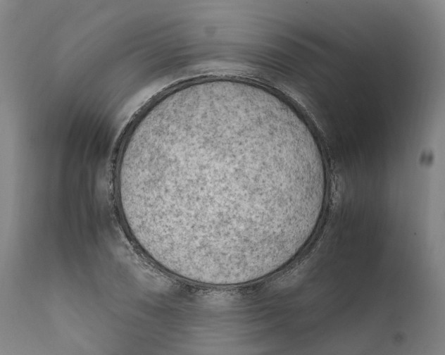 X0000111601074200908061408