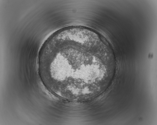 X0000111601076200908061408