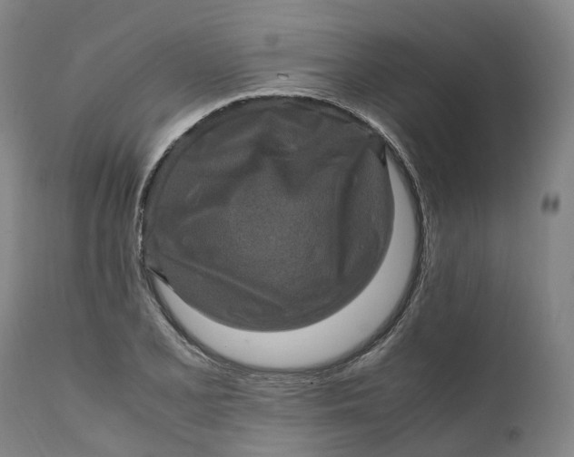 X0000111601077200908061408