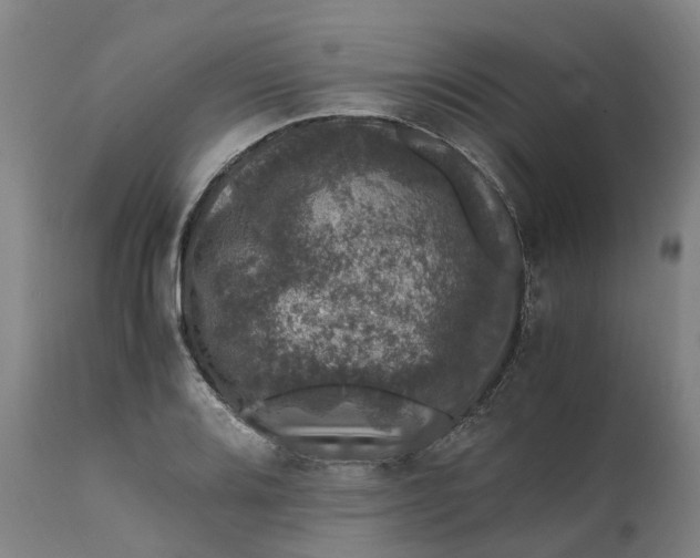 X0000111601080200908061408