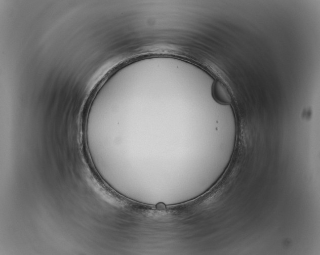 X0000111601082200908061408