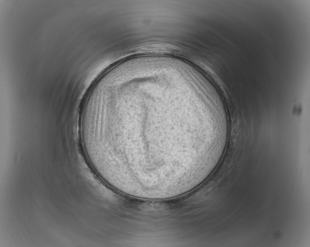 X0000111601083200908061408