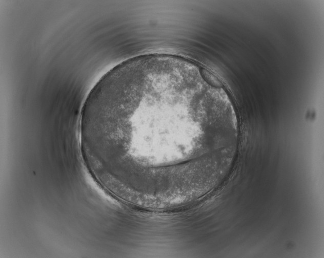 X0000111601084200908061408