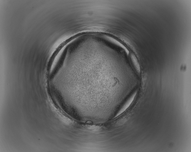 X0000111601085200908061408