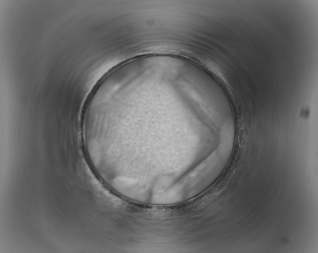 X0000111601087200908061408