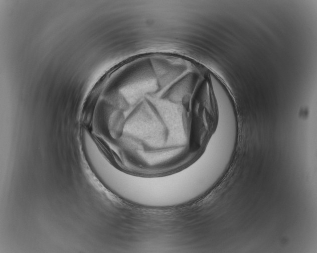X0000111601088200908061408