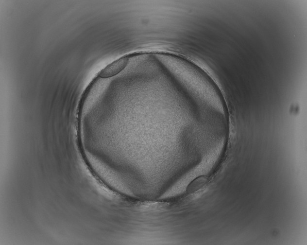 X0000111601093200908061408