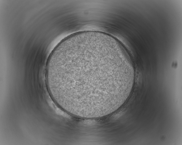 X0000111601094200908061408