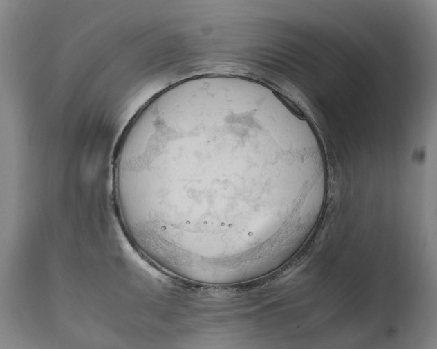 X0000111601095200908061408