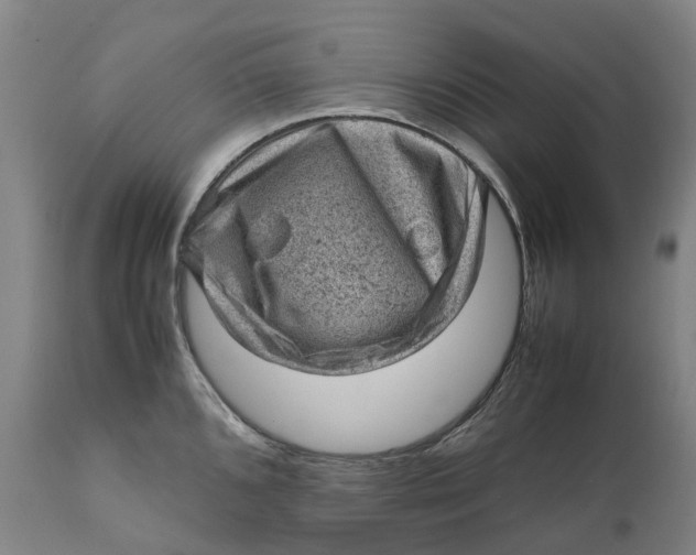X0000111601096200908061408