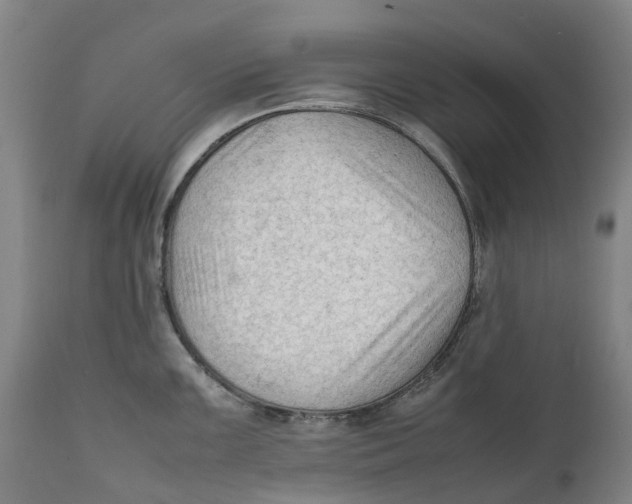 X0000111601099200908061408