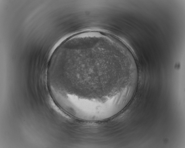 X0000111601100200908061408