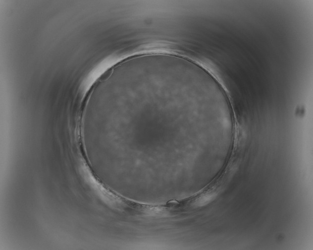 X0000111601101200908061408