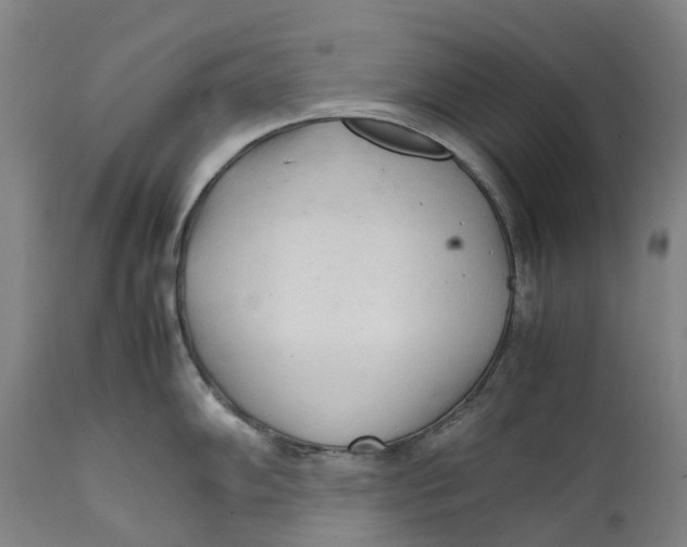 X0000111601102200908061408