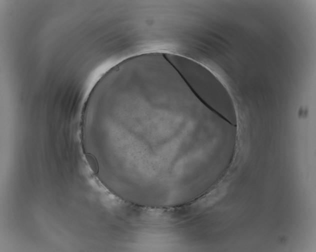 X0000111601104200908061408