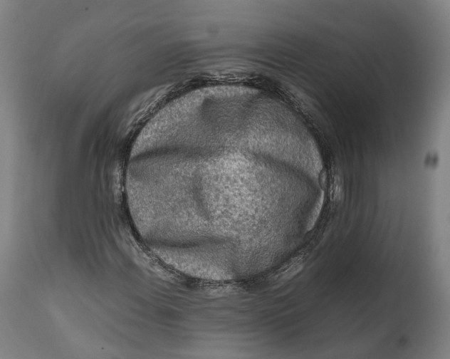 X0000111601108200908061407