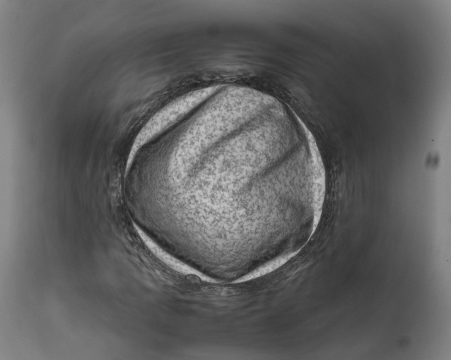 X0000111601109200908061407