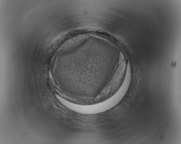 X0000111601110200908061407