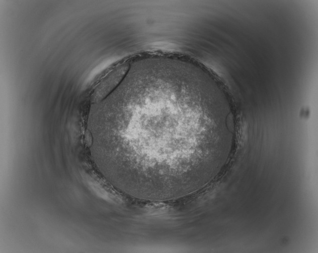 X0000111601112200908061407