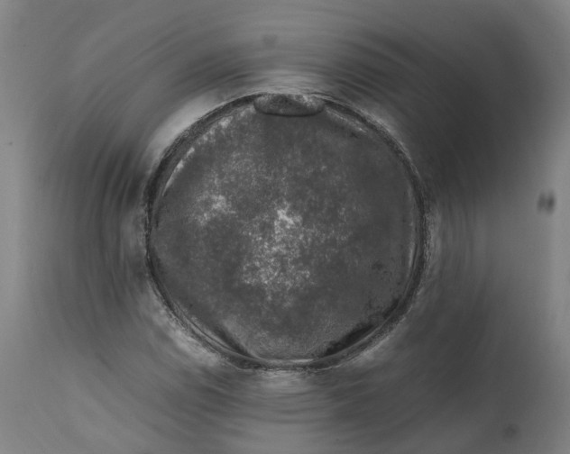 X0000111601114200908061407