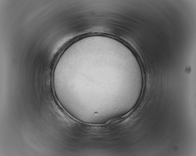 X0000111601115200908061407