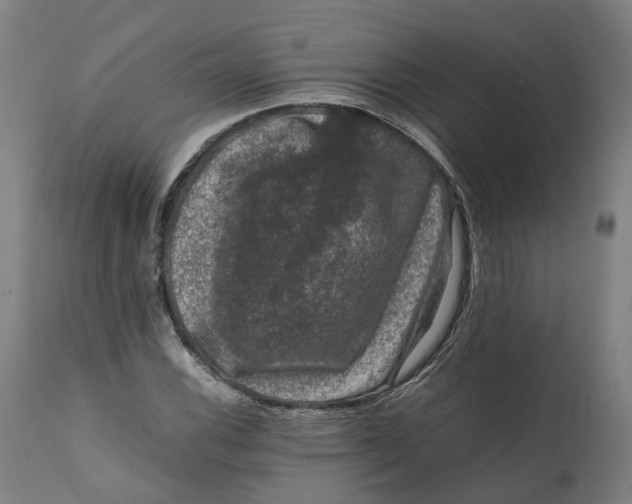 X0000111601116200908061407