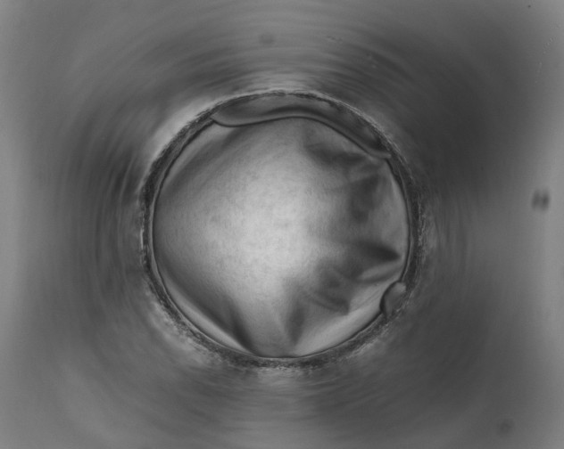 X0000111601118200908061407