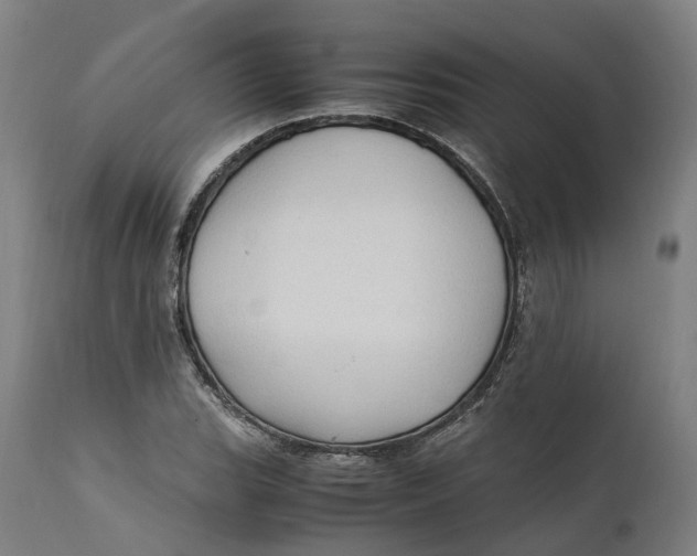 X0000111601119200908061407