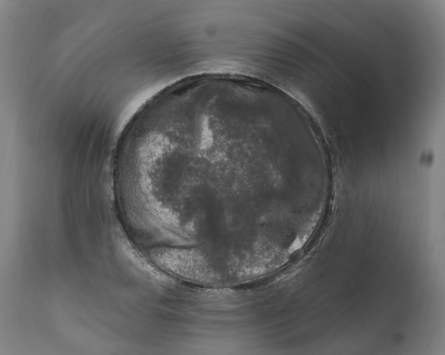 X0000111601120200908061407