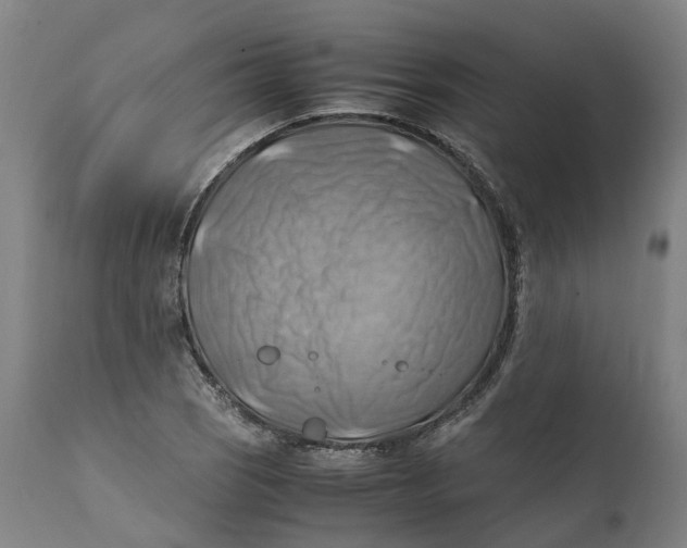 X0000111601121200908061407