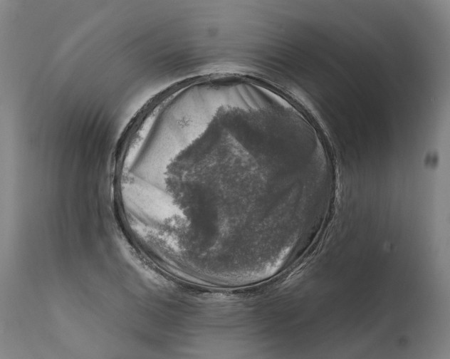 X0000111601124200908061407