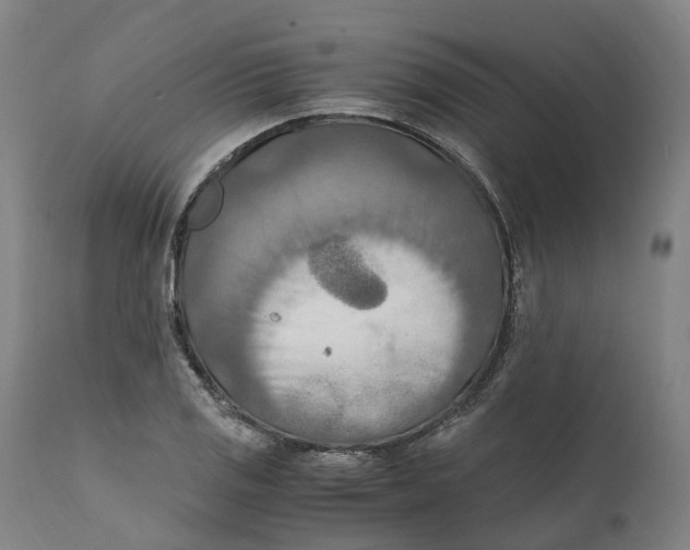 X0000111601125200908061407
