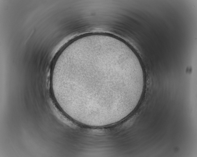 X0000111601126200908061407