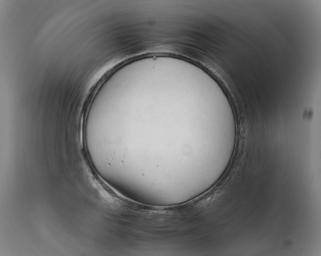 X0000111601127200908061407