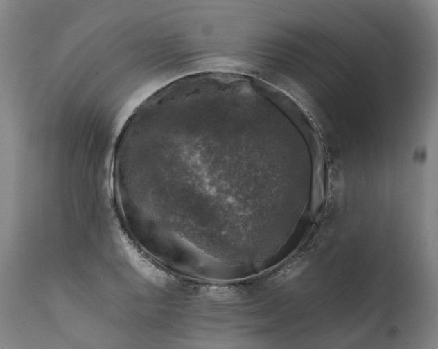 X0000111601128200908061407