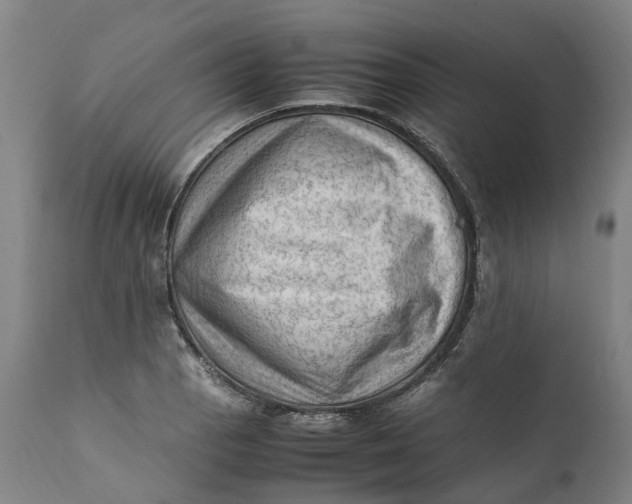 X0000111601129200908061407