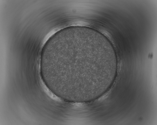 X0000111601130200908061407