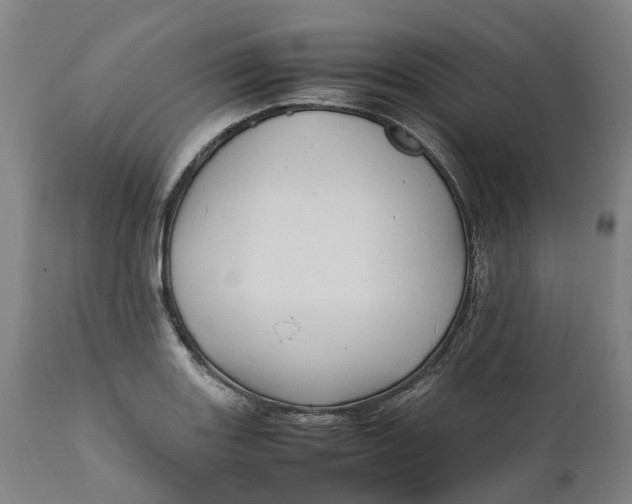 X0000111601131200908061407
