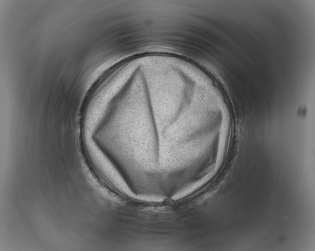 X0000111601133200908061408