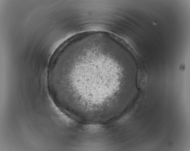 X0000111601134200908061408